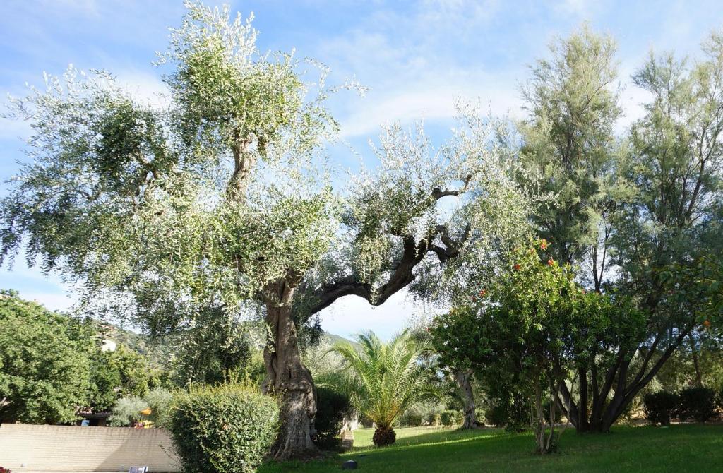 Oasimaremma Village Scarlino Exterior photo